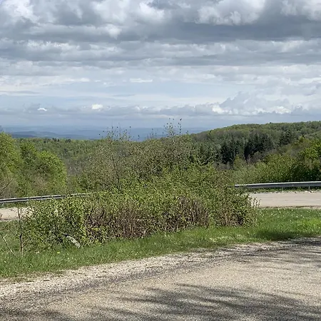 La Maison Des Artistes Lejlighed Lavelanet