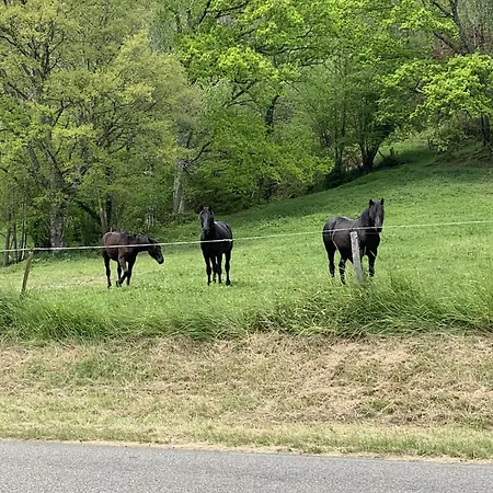 La Maison Des Artistes Lavelanet