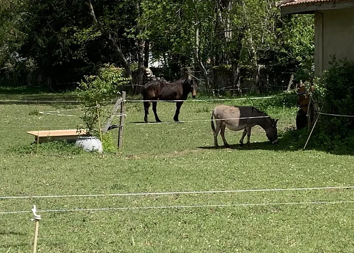 La Maison Des Artistes * Lavelanet