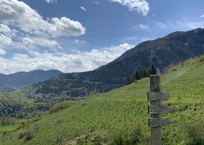 La Maison Des Artistes *