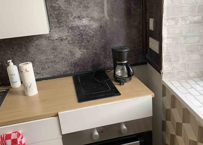 La Maison Des Artistes *