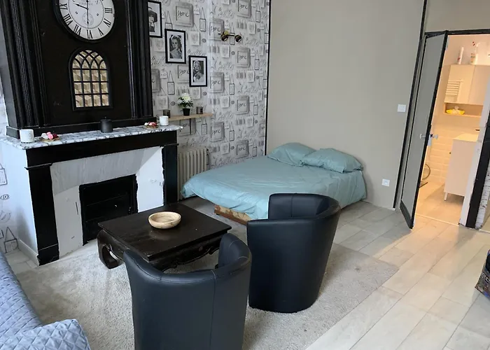 La Maison Des Artistes Daire Lavelanet