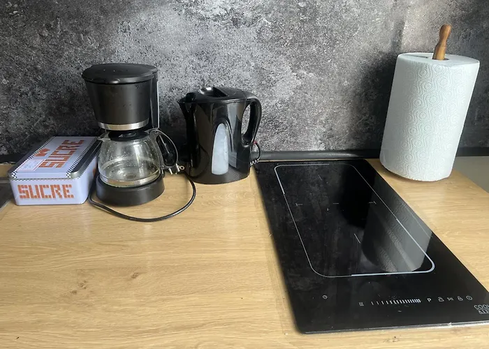 La Maison Des Artistes Daire