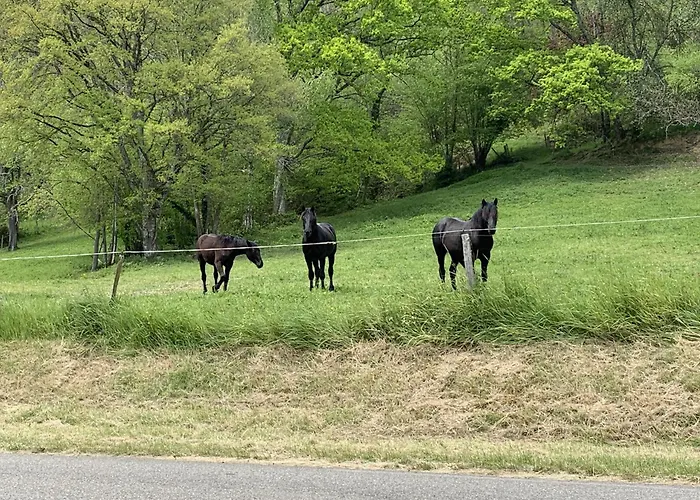 La Maison Des Artistes Lavelanet